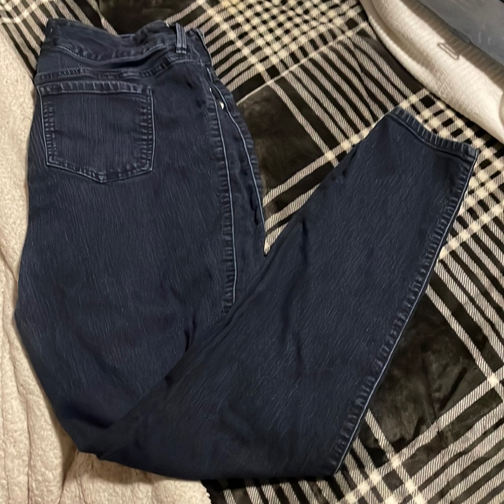 Torrid Jeans